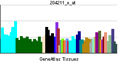 Protein kinase R